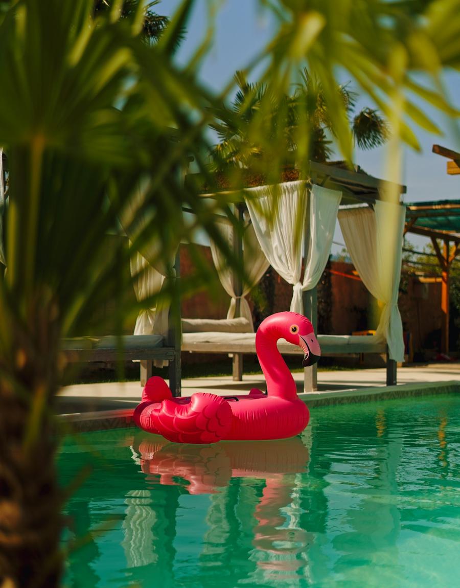 Pink flamingo float in a turquoise pool